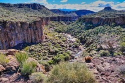 Canyon with river and desert vegetation along the Monolith Garden Trail in the Mojave Desert near Kingman, Arizona, USA
