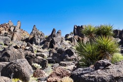 Eroded volcanic rock landscape in the Providence Mountains, close to Hole-in-the-Wall, Mojave National Preserve, California, USA
