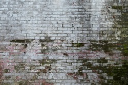 Old, Grimey Brick Texture with Moss at Alcatraz Island