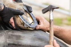 Horsehoeing process: A blacksmith preparing a horses hoof and a horseshoe. A farrier at work