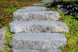 Stone stairs connecting garden paths on a sunny day, low ground cover
