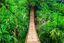 Traditional construction suspension pedestrian bridge made from natural bamboo. Cable bridge crossing river in tropical jungle. Footbridge over treetops and green bamboo thickets