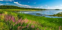 Summer landscape with green medow and pond, forest and village on horizon near Sangis in Kalix Municipality, Norrbotten, Sweden. Swedish landscape in summertime.