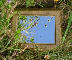 A flower meadow. A mirror in a flower meadow. Poppies, daisies, grass, green plants and the blue sky can be seen in the mirror.