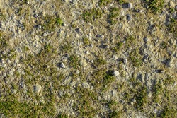 Seamless balding grass texture background with a soft white chalk rock underneath.