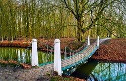 A bridge across the river in the autumn park. River bridge in autumn park. Autumn park bridge over river creek