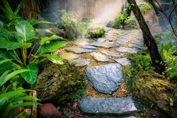 Backyard garden minimal desing with natural stone walkway in green fresh forest sunlight at home.