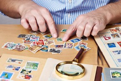 Man watching a collection of postage stamps isolated