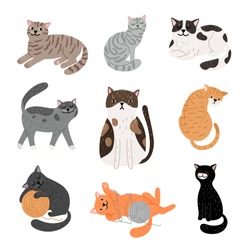 Fanny cartoon cats in different poses. Domestic cats sleeping and walking, sitting and playing, happy and sad kitten vector icons on white background