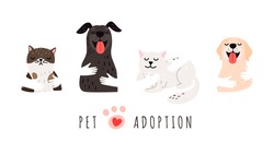 Pet adoption. Hands holding dogs cats, shelter banner. Isolated cute animals, adopt vector background