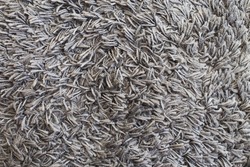 The texture of gray carpet. Fleecy surface background.