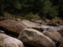 River stones on the background of the forest. Natural background