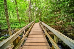 Wood boardwalk walking bridge over creek in woods