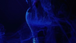 Color vapor background. Broken light bulb. Night mystery. Navy blue explosion smoke haze floating in cracked glass lamp on dark abstract art texture.