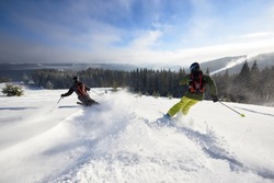 Back view of proficient male skiers in snow powder. Backcountry skiing. Using carving technique on wide open wooded hillside. Panoramic view of picturesque winter mountains and forest under blue sky.