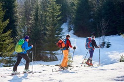 Three travelers, male skier tourists with backpacks hiking on skis in deep snow uphill through mountain forest on sunny cold winter day. Tourism, exploration and active lifestyle concept.