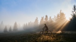 Man in cycling suit riding bicycle near forest illuminated by morning sunlight. Male bicyclist wearing safety helmet while cycling on grassy hill in the morning. Concept of sport and bicycling.