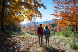 Rear view of young couple hikers holding hands and enjoying beautiful scenery on valley. Warm sunny day in the fall. Bright yellow and orange fall colors. Autumn in the mountains.