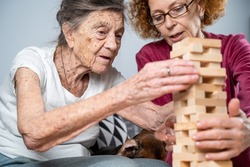 Dementia therapy. Social worker and dog plays an educational board game with senor patient at nursing home. Jenga game. Caregiver, pet and elderly female build tower of blocks in retirement home.