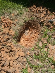 A Cat Grave Hole in The Yard