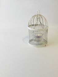 Cage of candle with white background