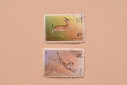 postage stamps isolated on a wooden background with images of animals and fish background, top view.