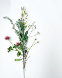 A collection of red clover, daisy fleabane, prairie sage wort, white sagebrush, English ryegrass, and meadow chickweed. 