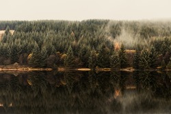 Autumn scene, mist over the trees next to the lake - Nature and travel themed composition in Wales on a moody day, remote location - Green, orange and brown leaves