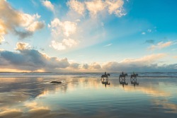Horses walking on the beach at sunset. Three people riding horses at seaside on a cloudy day. Epic photo, wide angle shot, backlight with silhouette. Sport and travel concepts