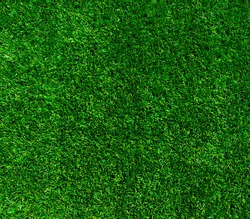 Green grass background or the nature lawn wall texture 