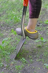 Leg of person digging  ground using  old metal garden shovel in spring. Selective focus on foot in galoshes