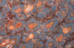 Structure of natural mineral rhyolite or rainforest jasper. Patterns and textures for abstract background and wallpaper.