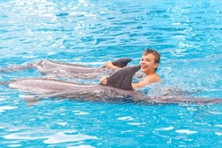 Kid and dolphin communication. Dolphins assisted therapy for boy in blue swimming pool 