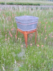 Antique Vintage Wash Tub in field of Wildflowers