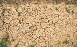 Drought surface. Cracked soil. Climate changes the soil. 