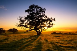 Sun rises over the Clare Valley, South Australia