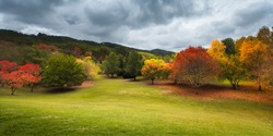 Beautiful autumn trees in the Adelaide Hills