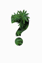 Punctuation marks are a question mark isolated on a white background. Stylized as a collage of a photo of a lupin flower leaf. Concept: graphic design decorated with decorative font.