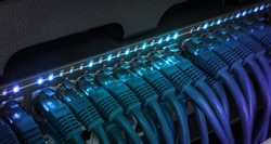 Network server panel, switch and patch cord cable in data center glowing in the dark. Blue led
