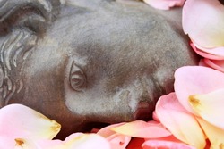 the face of a gray statue lies on a bed of pink rose petals