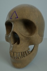 Human skull with an symbol on the forehead.