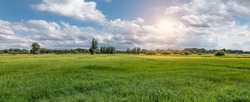 Panoramic view of a Belgian nature and meadow landscape during sunset. Beautiful grass field in the countryside.