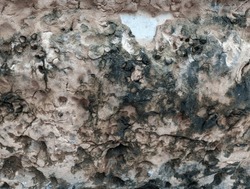 image of ragged old sponge texture