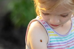 A little girl on the background of a green field looks at a ladybug on her hand
