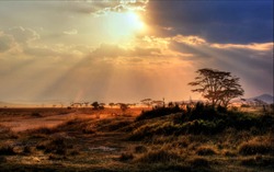 gorgeous sunset with sunbeams at a national park in Africa 
