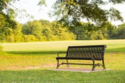 Black park bench in a park during warm summer sunset with green field and trees background