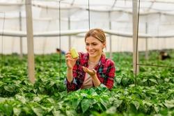 Portrait of a beautiful smiling agronomist woman holding a pepper plant. (vegetables)