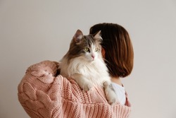 Cute domestic cat with green eyes in arms of brunette female owner. Unrecognizable young woman holding purebred straight-eared long hair kitty on. Background, copy space, close up, back view.