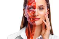 Young woman with half of face with muscles structure under skin. Model for medical training on a light background. Close up portrait of face human anantomy.