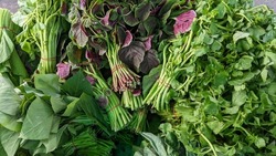 A pile of red spinach among a pile of green leafy vegetables in the market
